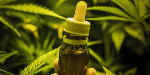 Anvisa atualiza regras para dispensação de produtos à base de Cannabis em farmácias