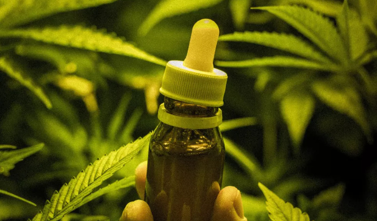 Anvisa atualiza regras para dispensação de produtos à base de Cannabis em farmácias