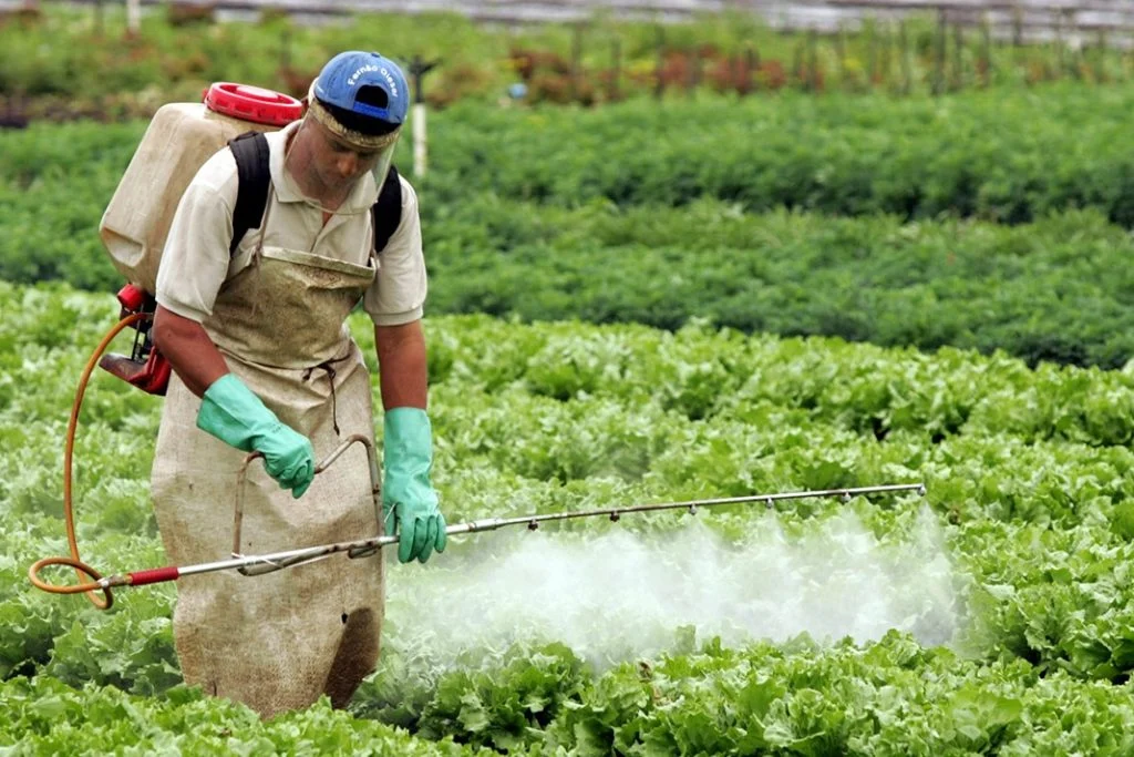 Na Agrotins 2025, CRF-TO destaca papel do farmacêutico no agronegócio brasileiro