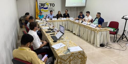 Plenária: Conselheiros aprovam prestação de contas, fiscalização orientativa e gestão responsável do orçamento do CRF-TO