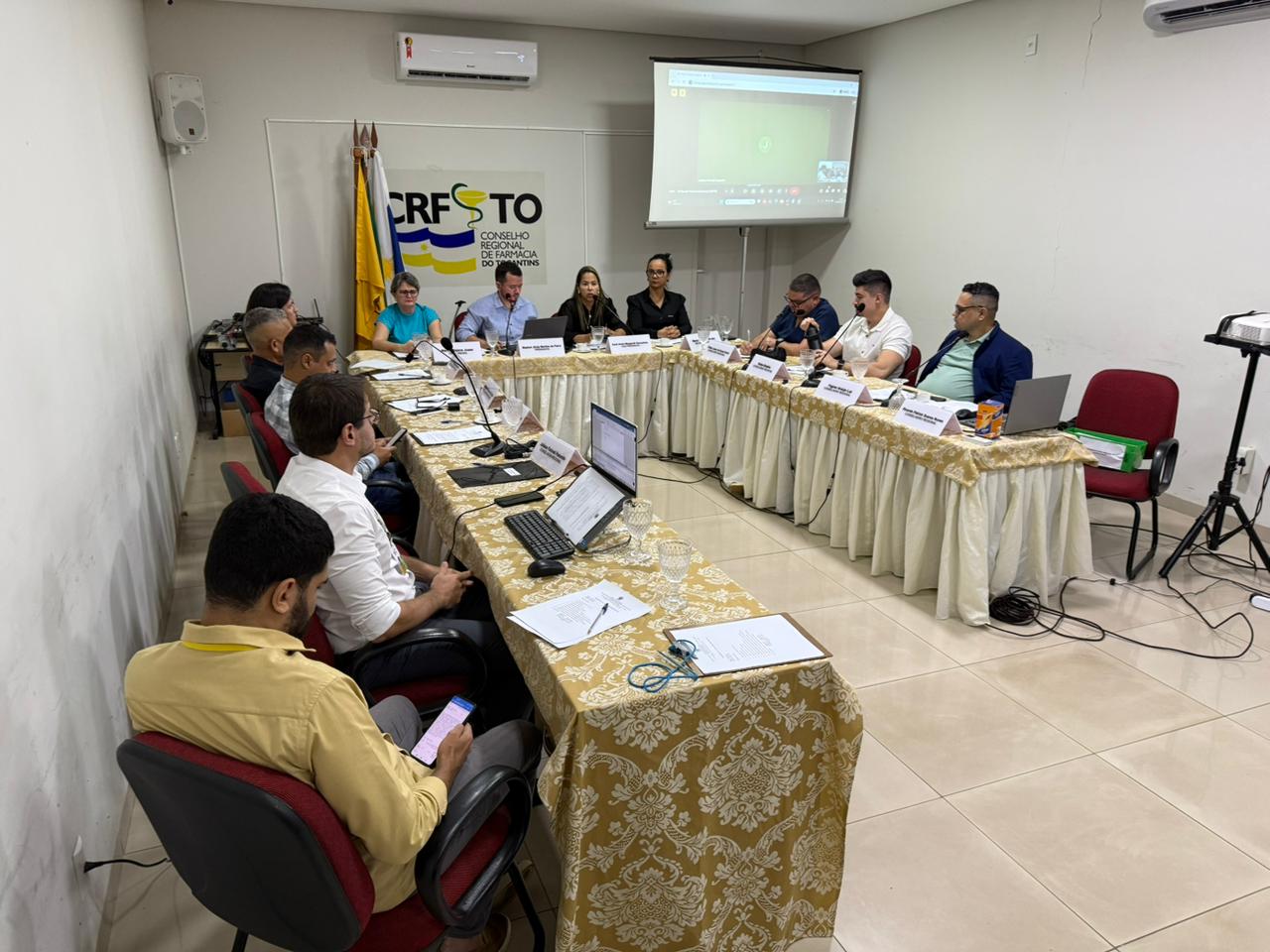 Plenária: Conselheiros aprovam prestação de contas, fiscalização orientativa e gestão responsável do orçamento do CRF-TO