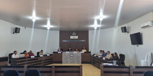 Com foco em pautas estratégicas e capacitação técnica, CRF-TO realiza Plenária Itinerante em Taguatinga