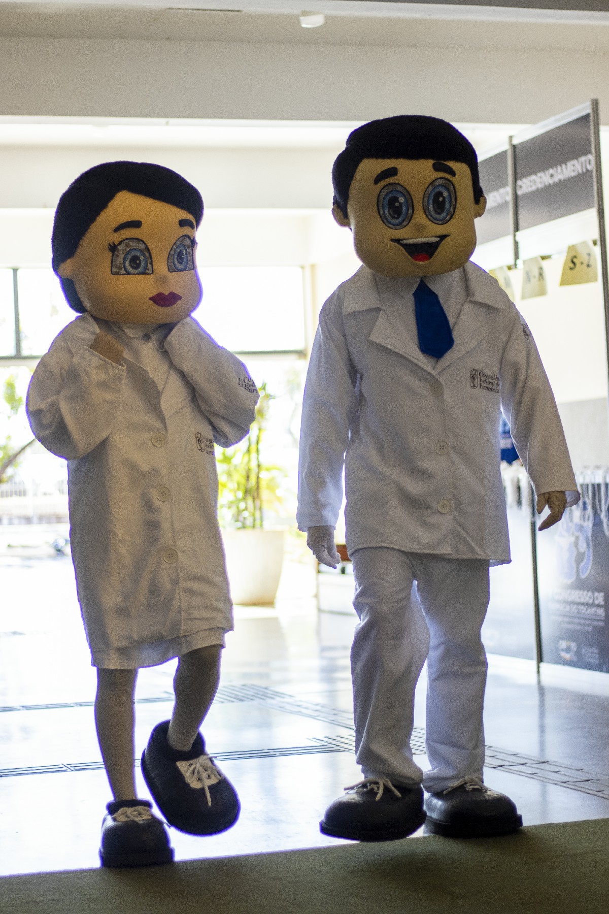 Imagem de galeria
