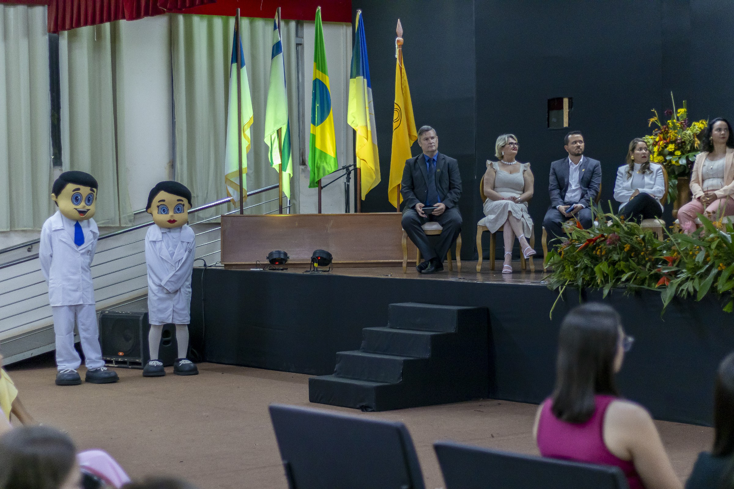 Imagem de galeria