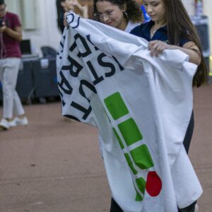 Imagem de galeria