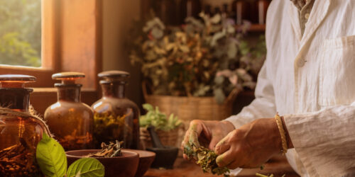 Fitoterápicos ganham protagonismo em estratégia nacional de desenvolvimento