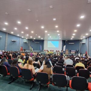 Imagem de galeria